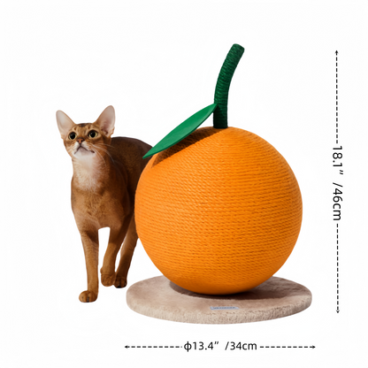 Orange Cat Scratching Post