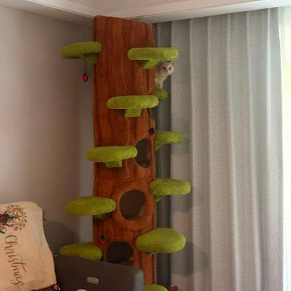 AstraCat Tower