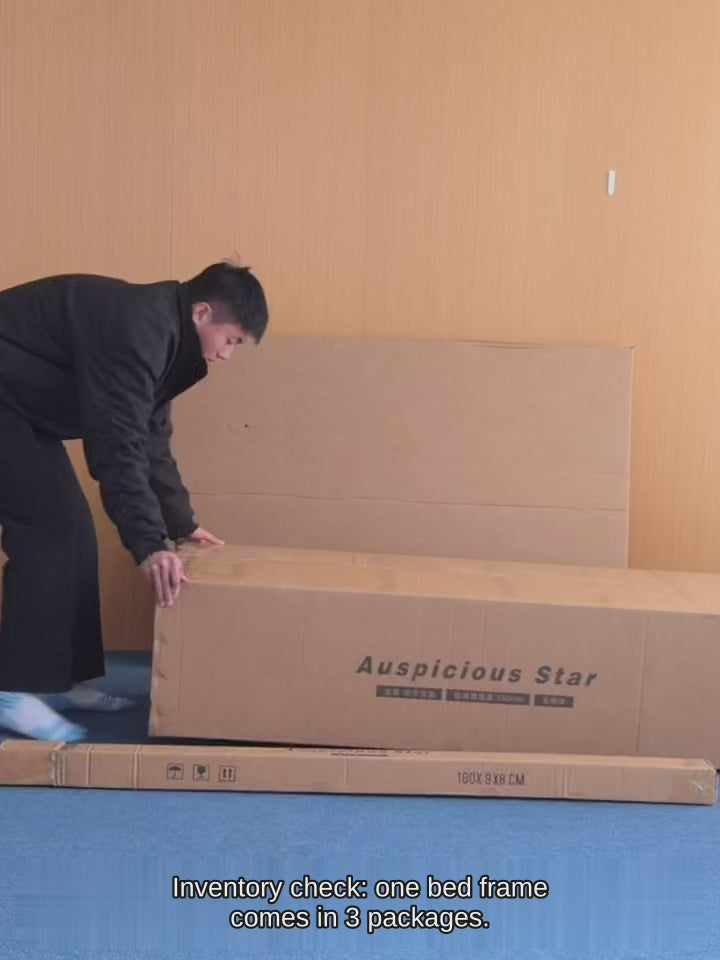 Minimalist Floating Stainless Steel Bed Frame